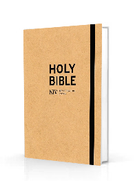 Holy Bible - NIV Journalling Bible - Cream