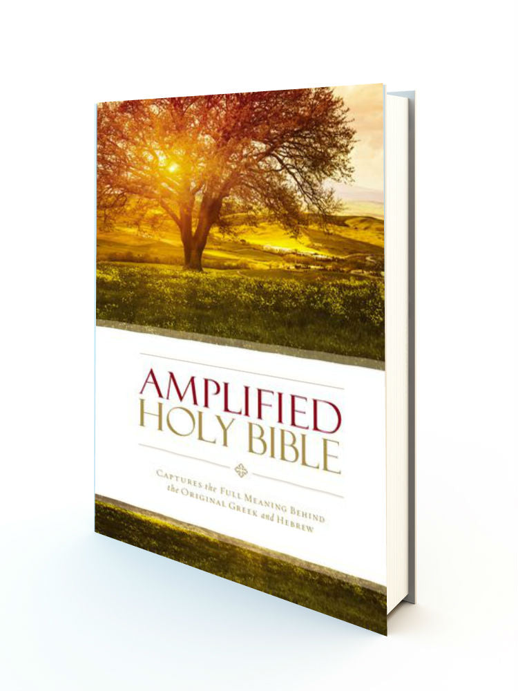 Bible Amplified Version Exclusive Deals | ids-deutschland.de