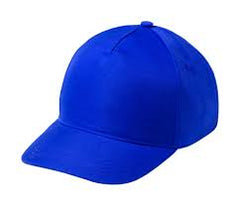 FREGH Face Cap - (PRE-ORDER ONLY)