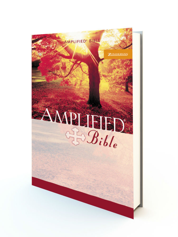 Amplified Bible - Small Size - Redemption Store