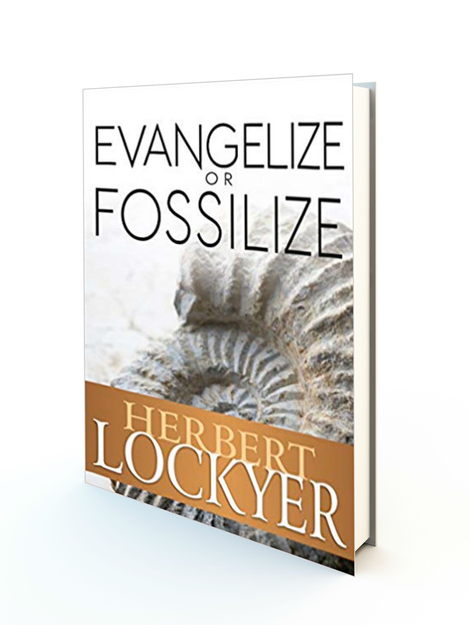 Evangelize Or Fossilize - Redemption Store