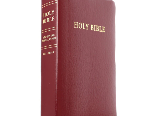 Gift & Award Bible - NLT Burgundy Leather Cover - Redemption Store